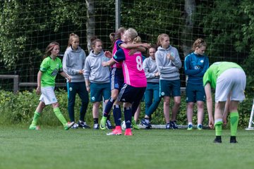 Bild 357 - wBJ HSV - VfL Wolfsburg : Ergebnis: 4:1